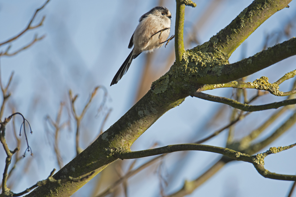 DSC_6624.jpg