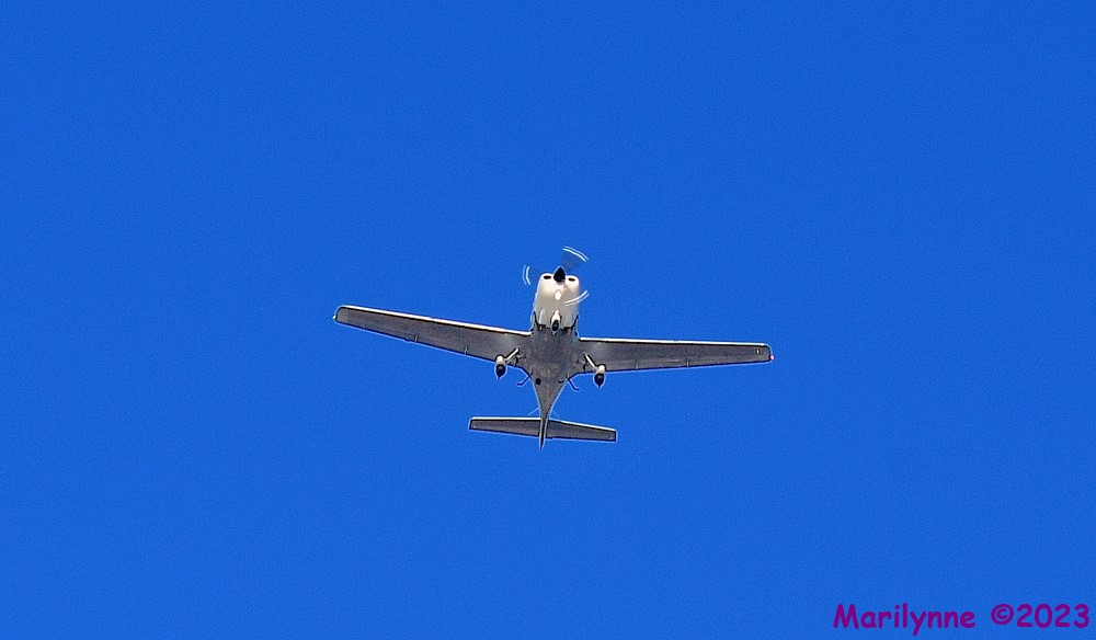DSC_6626_001.JPG