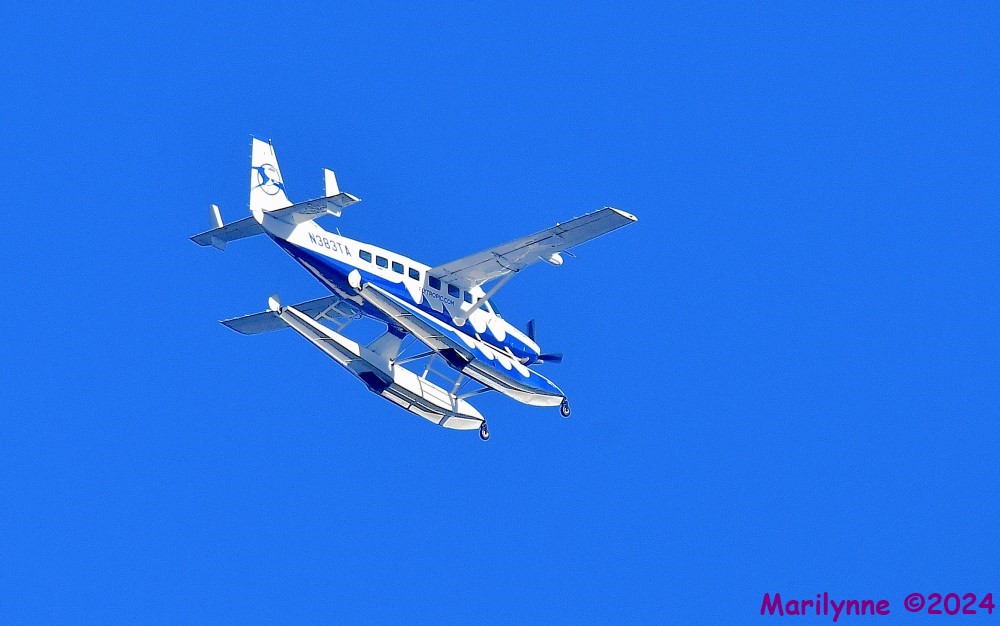 DSC_6626_001.JPG