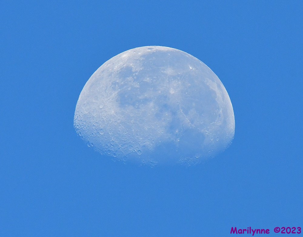 DSC_6629_001.JPG