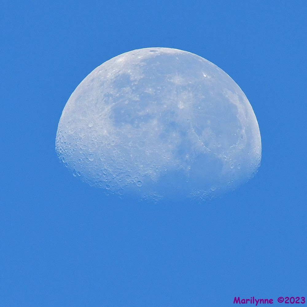 DSC_6630_001.JPG