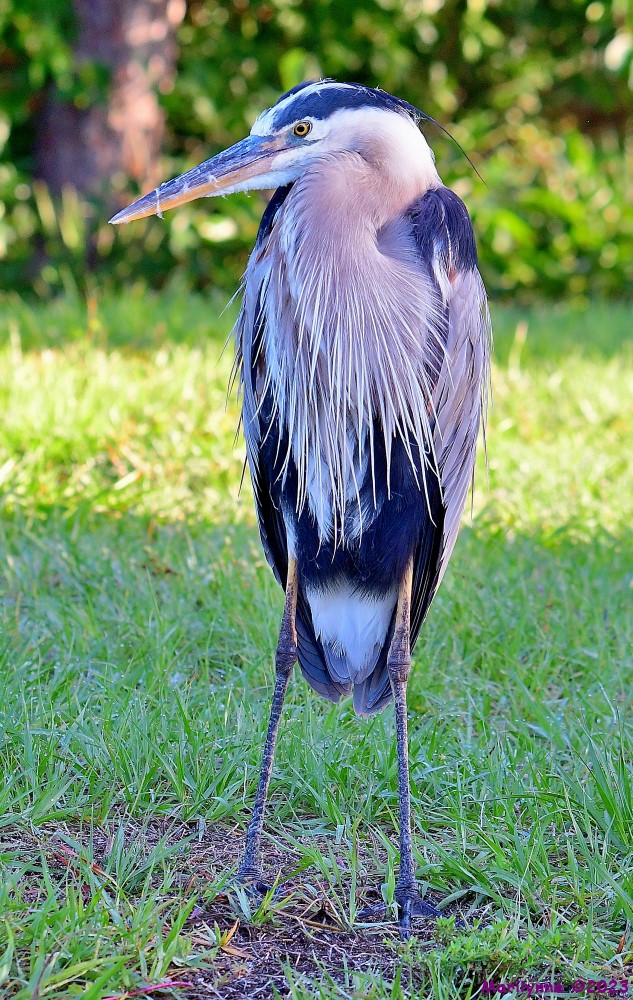 DSC_6634_001.JPG