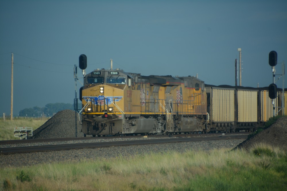 DSC_6636.JPG