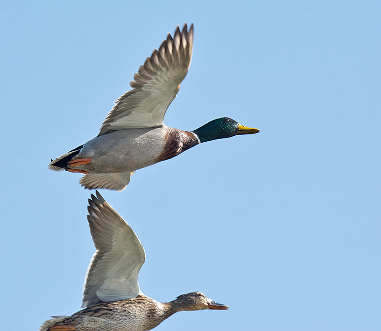 DSC_6639.jpg