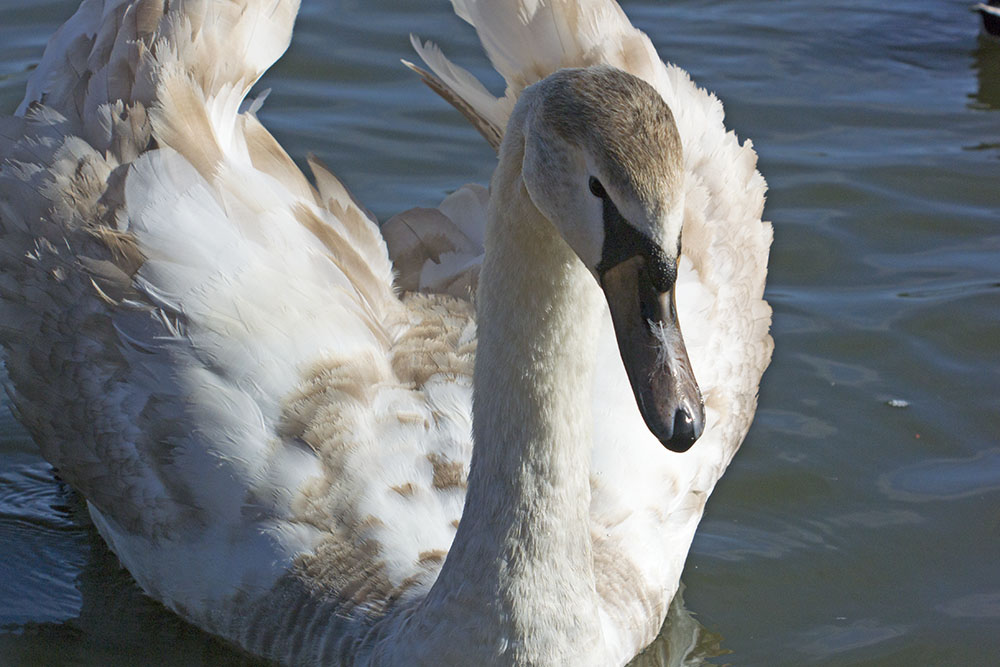 DSC_6639.jpg