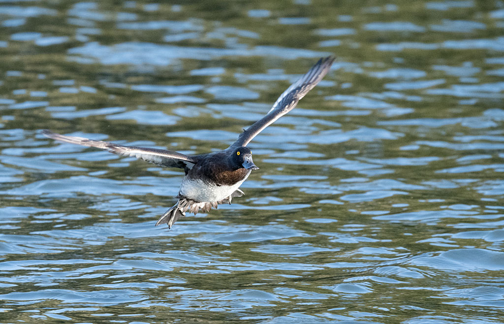 DSC_6641.jpg