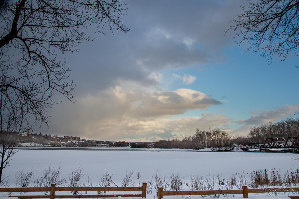DSC_6643-2.jpg