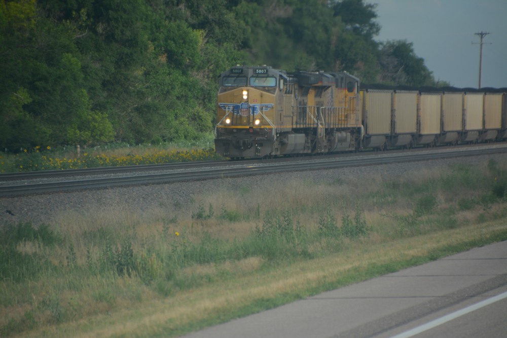 DSC_6644.JPG