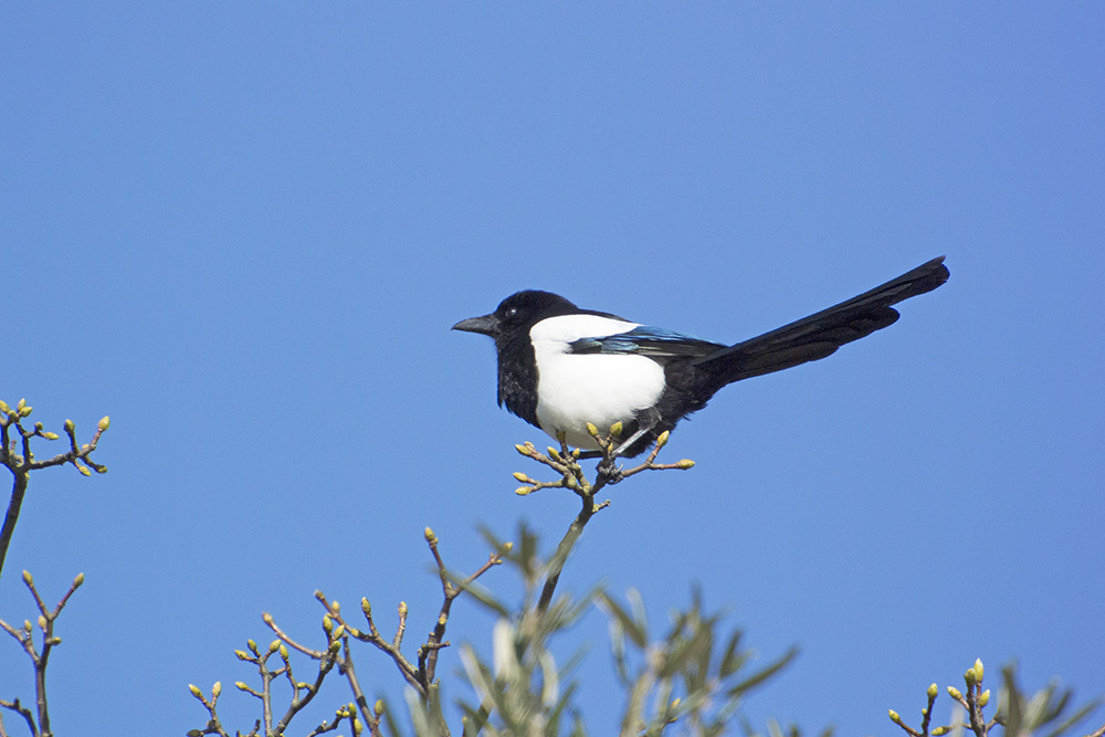 DSC_6644.jpg