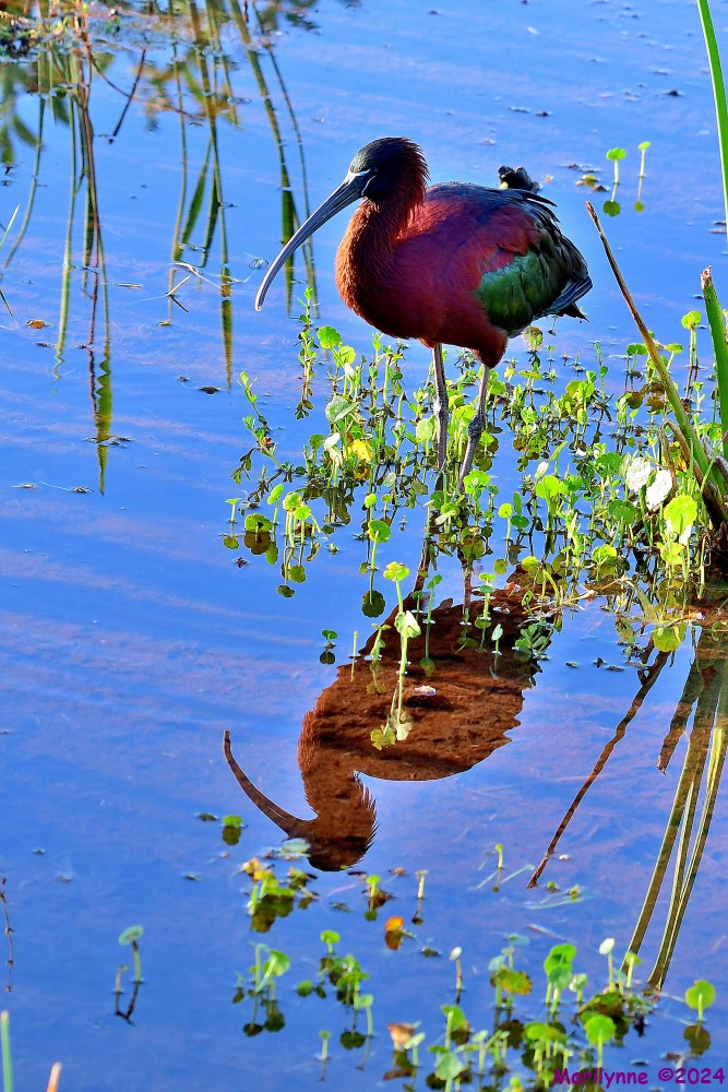 DSC_6644_001.JPG