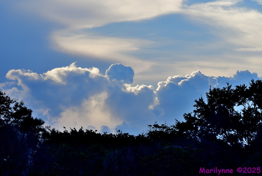 DSC_6645_stitch_001.JPG