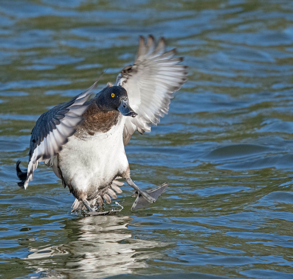 DSC_6647.jpg