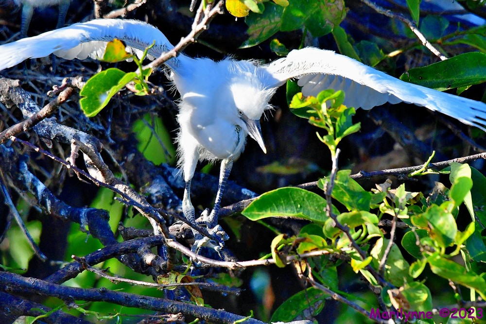 DSC_6650_001.JPG