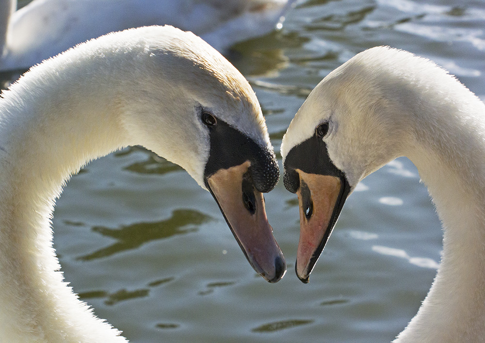 DSC_6665.jpg
