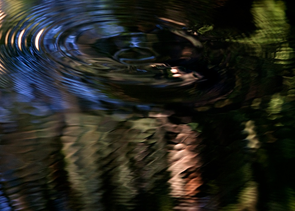 DSC_6676.jpg