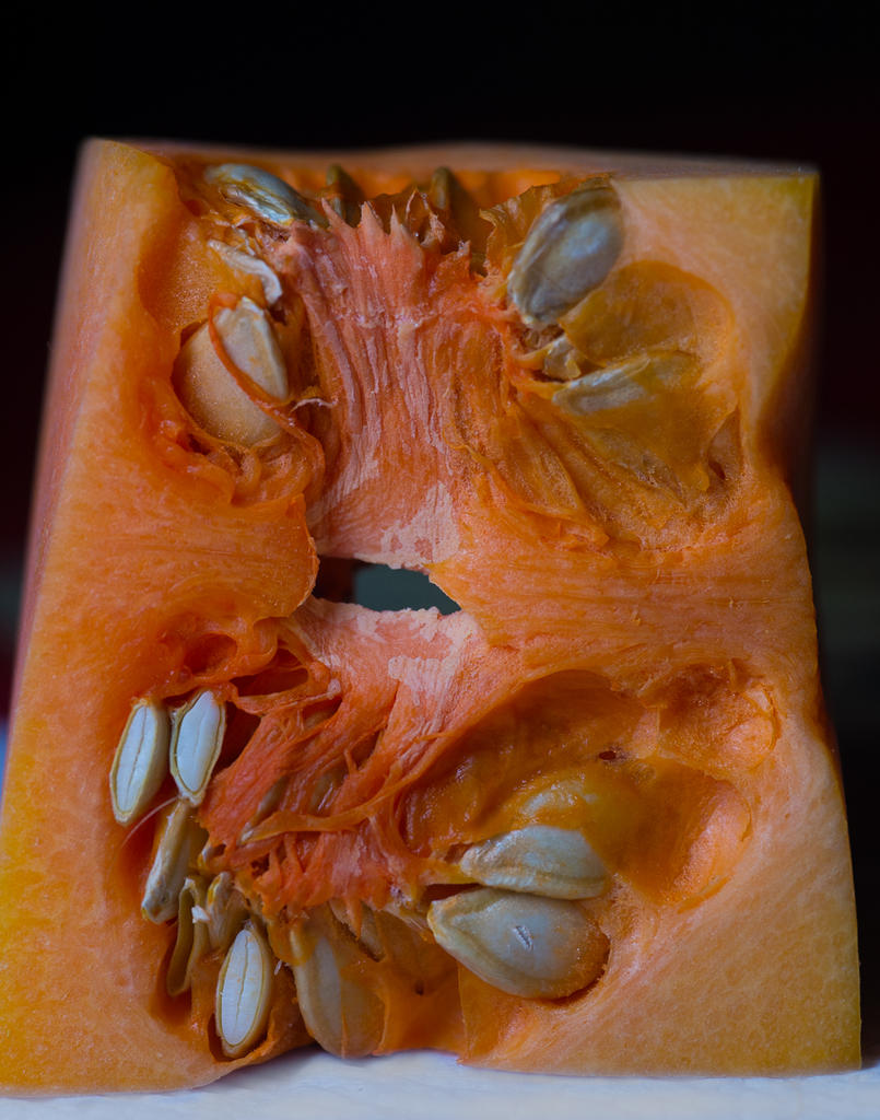 DSC_6678.jpg