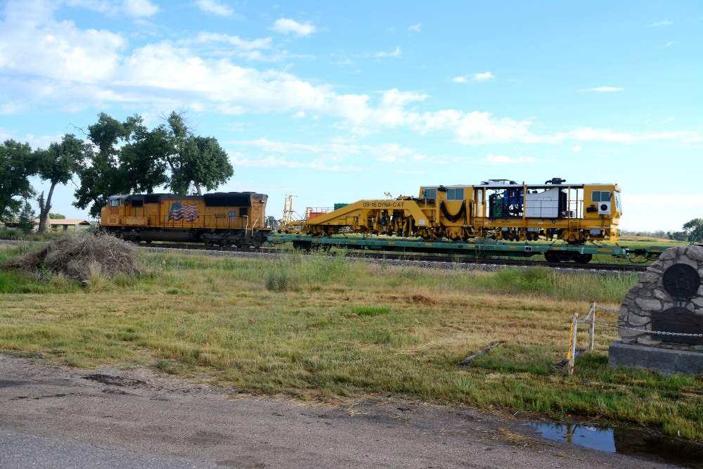 DSC_6683.JPG