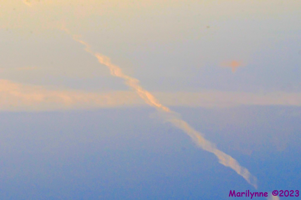 DSC_6687_001.JPG