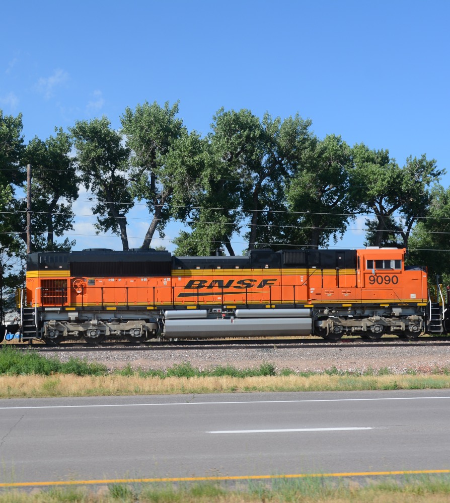 DSC_6695.JPG