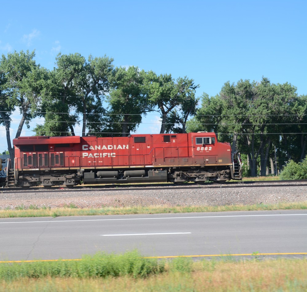 DSC_6698.JPG
