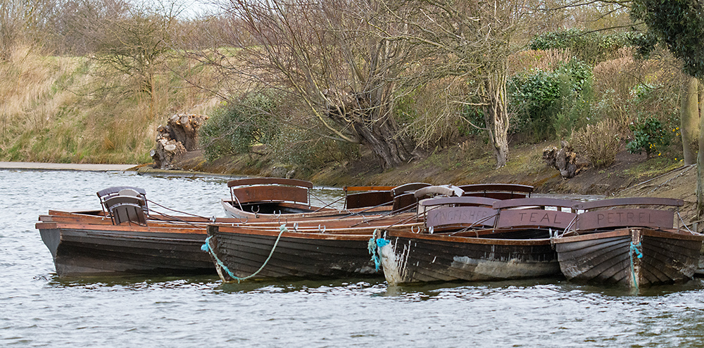 DSC_6698.jpg