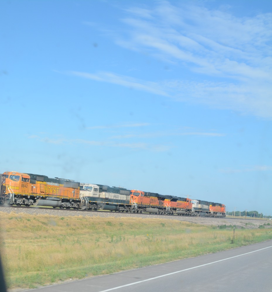 DSC_6699.JPG