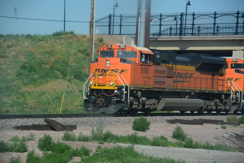 DSC_6704.JPG