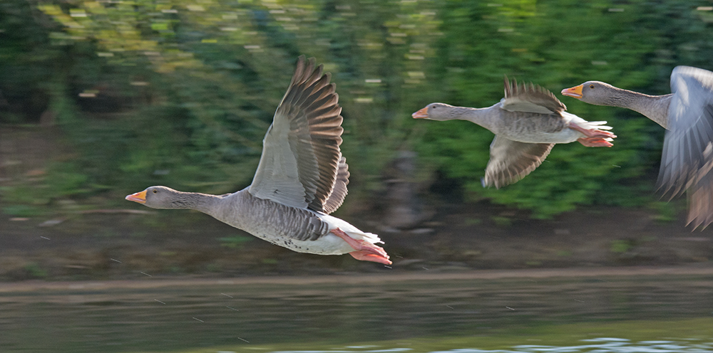 DSC_6709.jpg