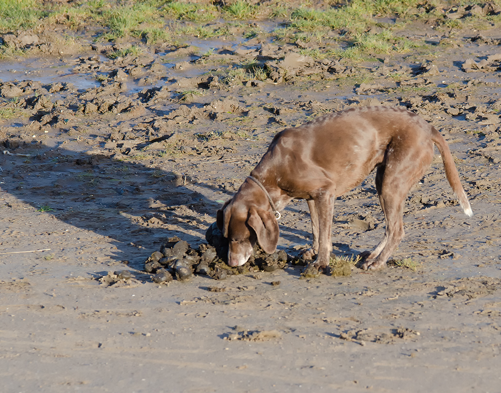 DSC_6711.jpg