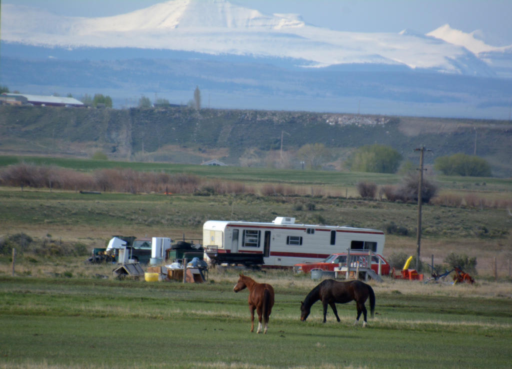 DSC_6712.jpg