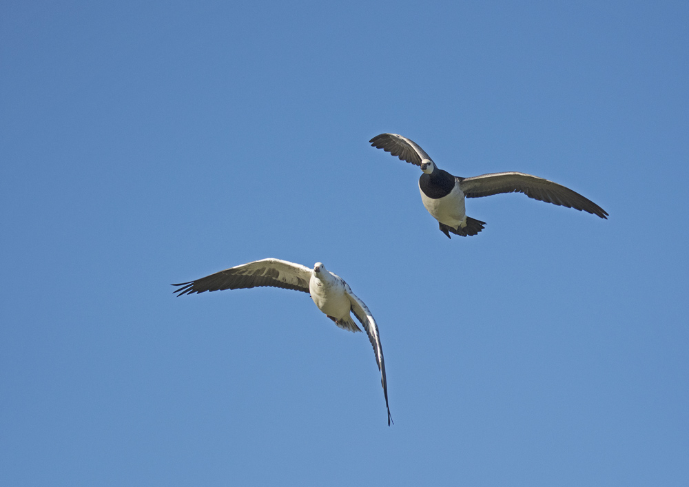 DSC_6714.jpg