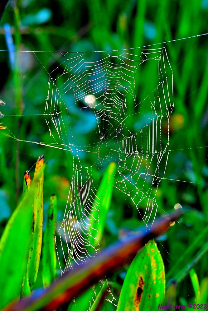 DSC_6714_001.JPG