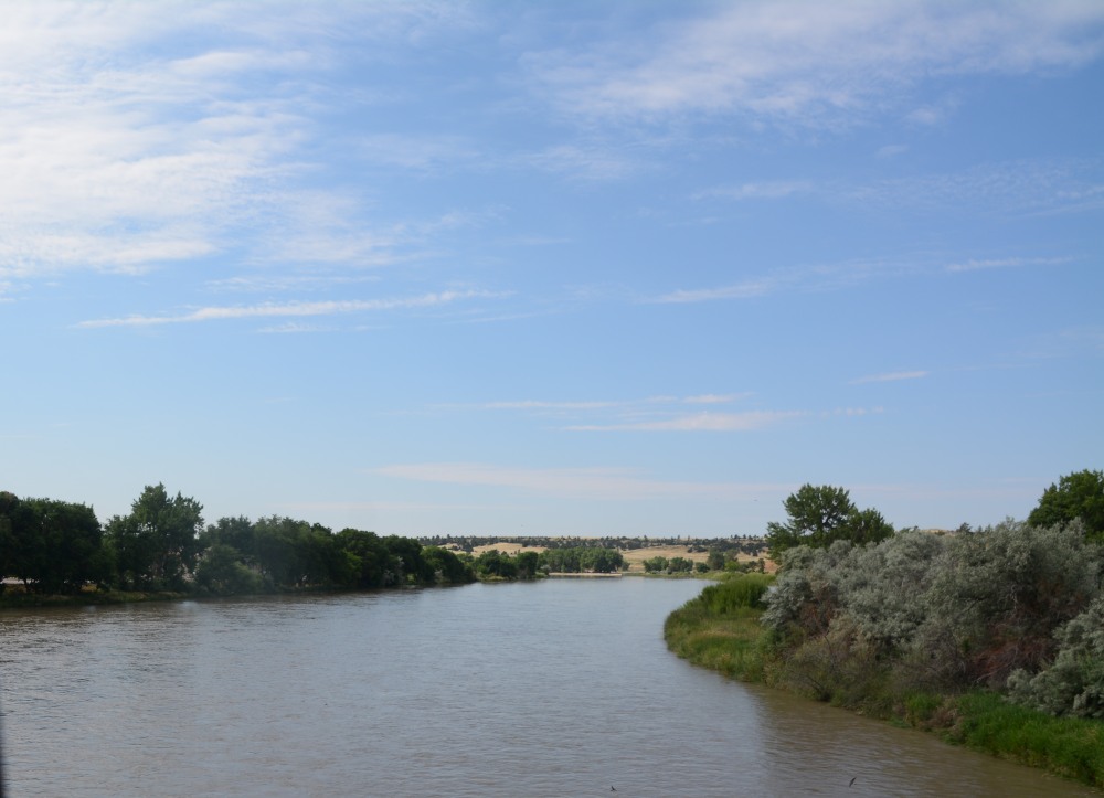 DSC_6716.JPG