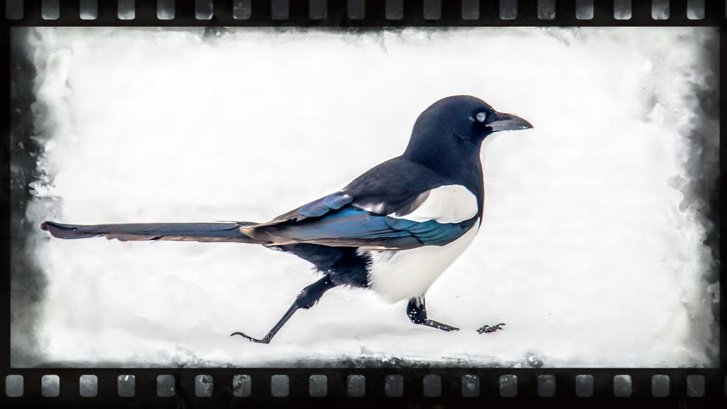 DSC_6723-Edit.jpg