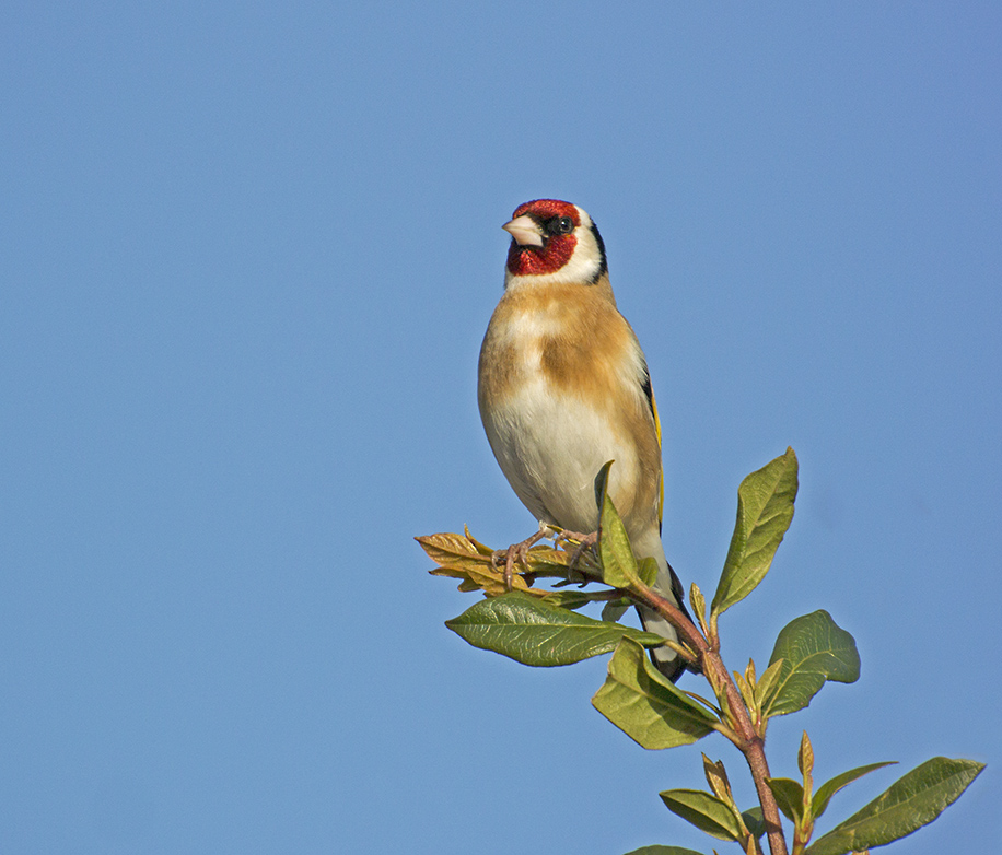 DSC_6728.jpg