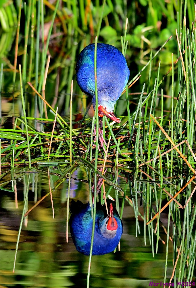 DSC_6728_stitch_001.JPG