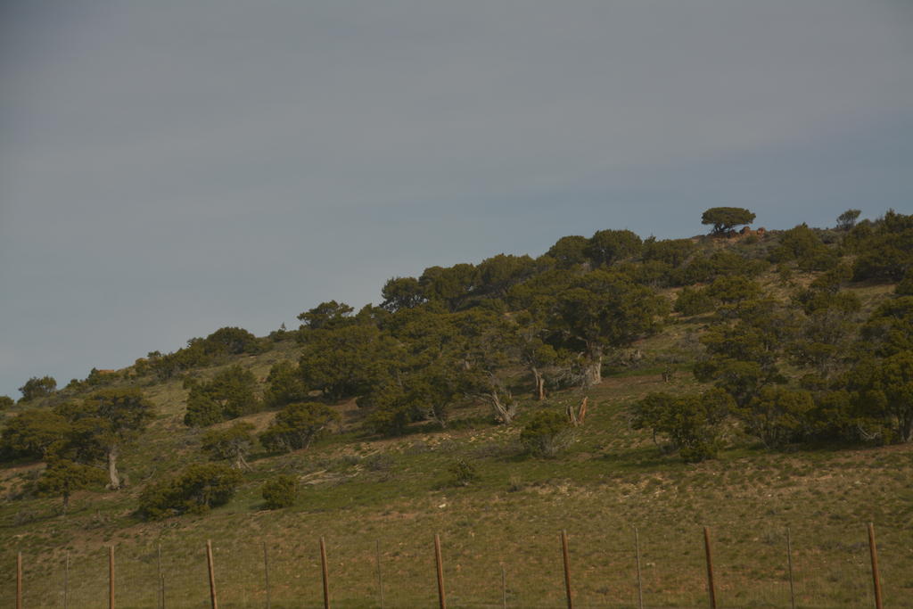 DSC_6730.jpg