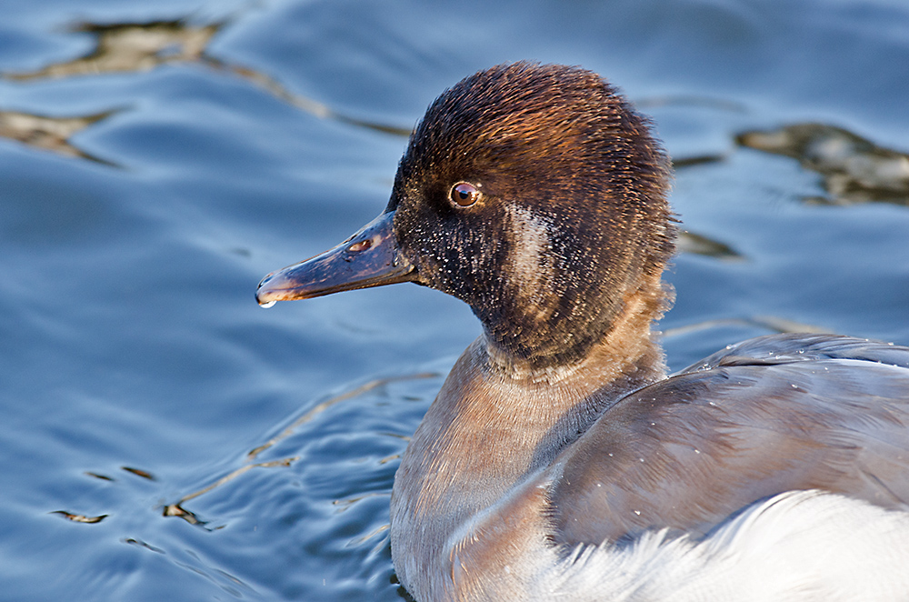 DSC_6731.jpg