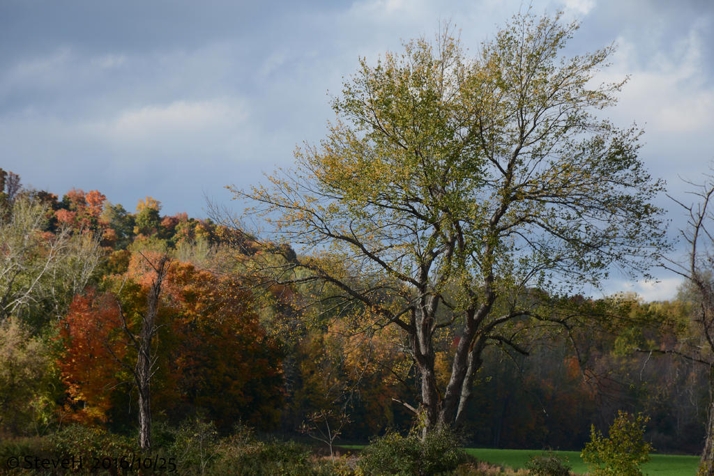 DSC_6731.jpg
