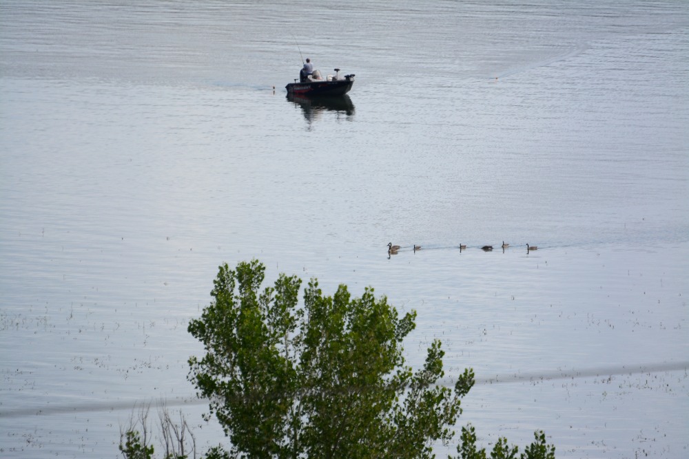 DSC_6732.JPG