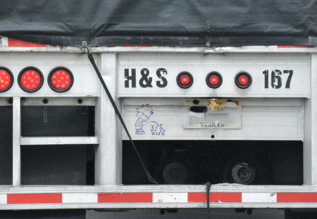 DSC_6736.jpg