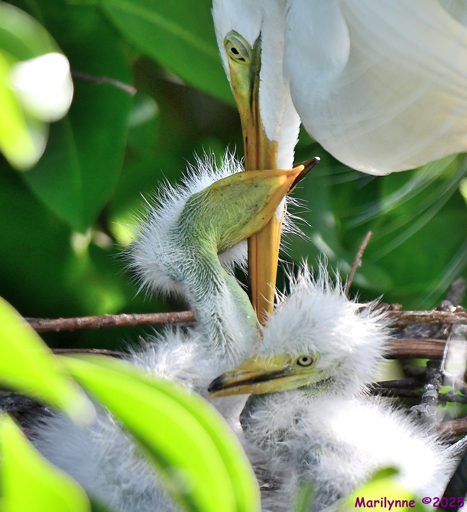 DSC_6736_001.JPG