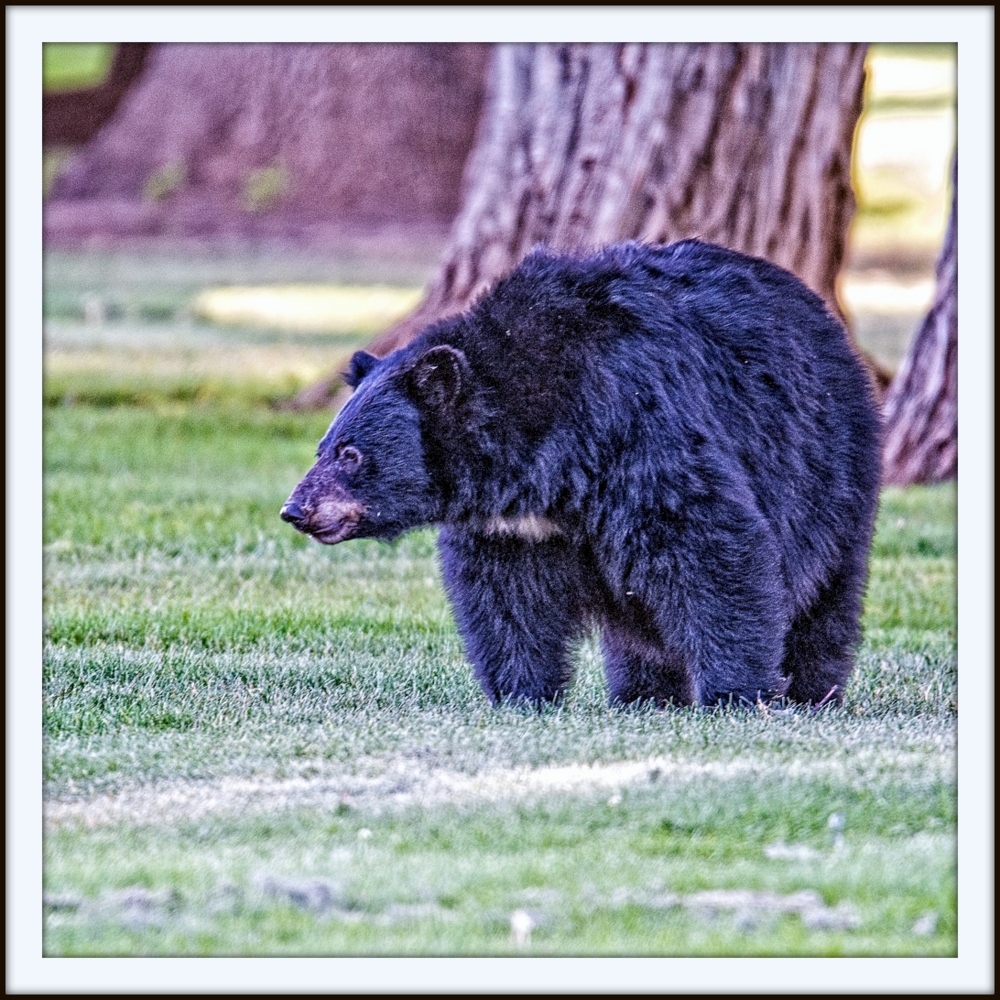 DSC_6741-Edit.jpg