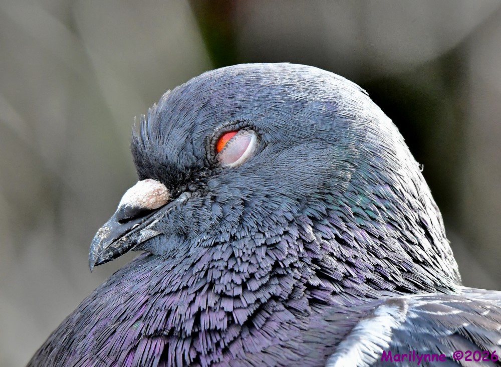 DSC_6741_001.JPG