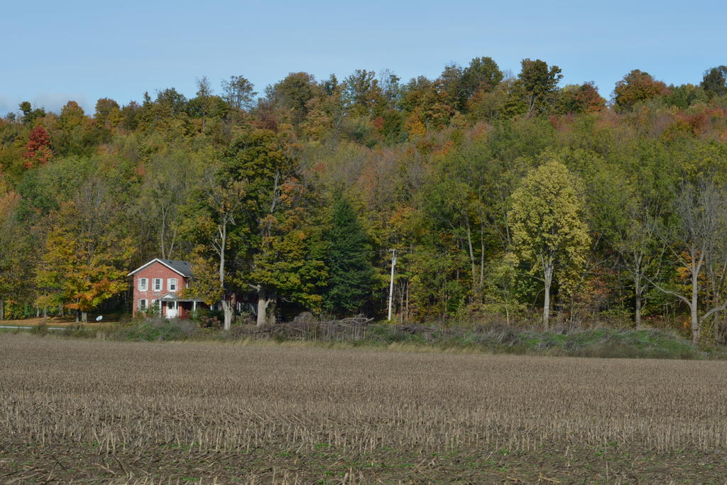 DSC_6748.jpg