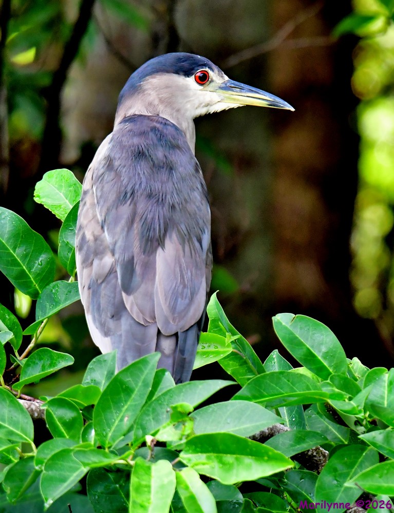 DSC_6748_001.JPG