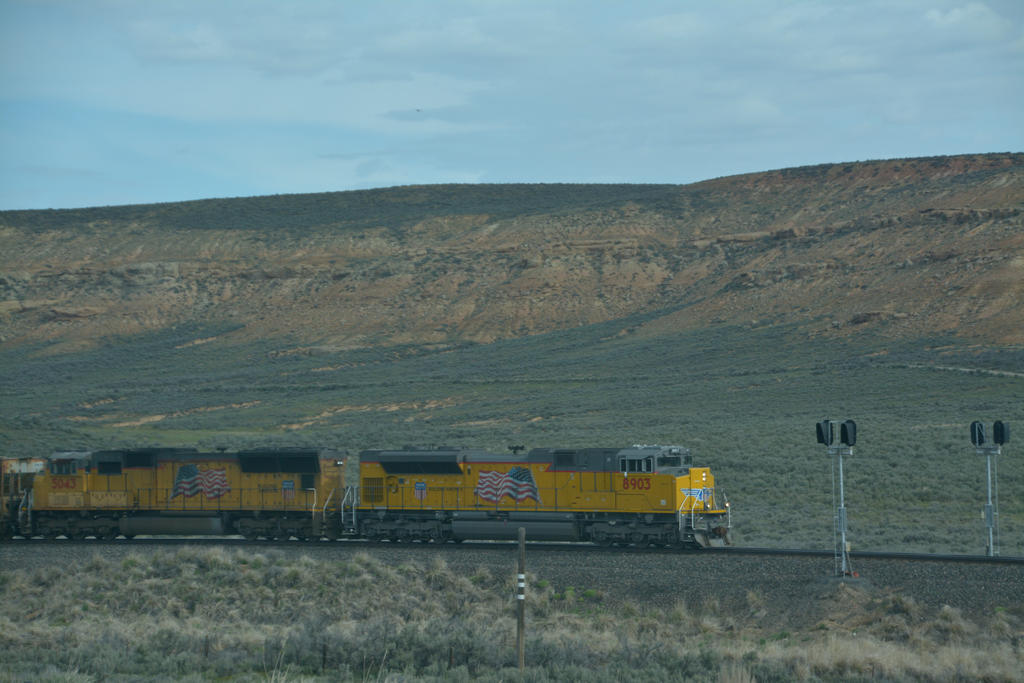 DSC_6749.jpg