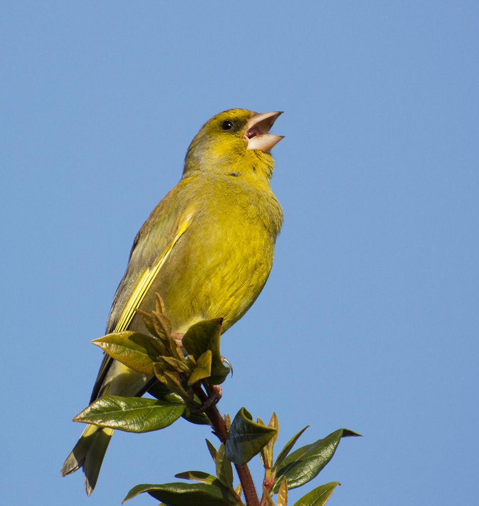 DSC_6751.jpg
