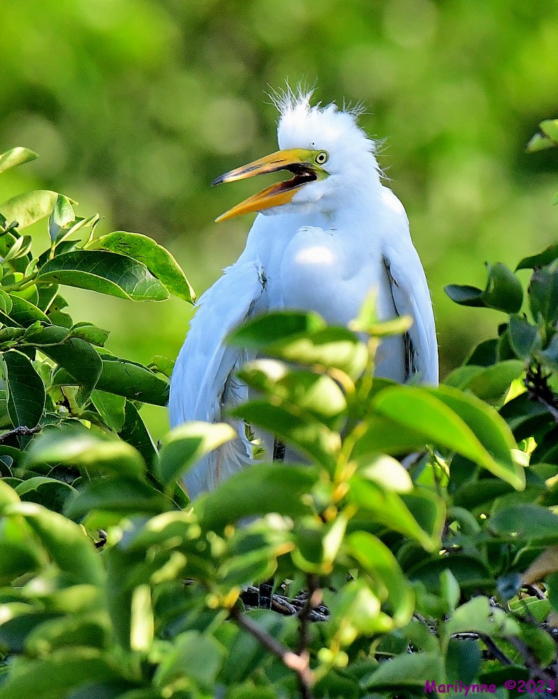 DSC_6757_001.JPG