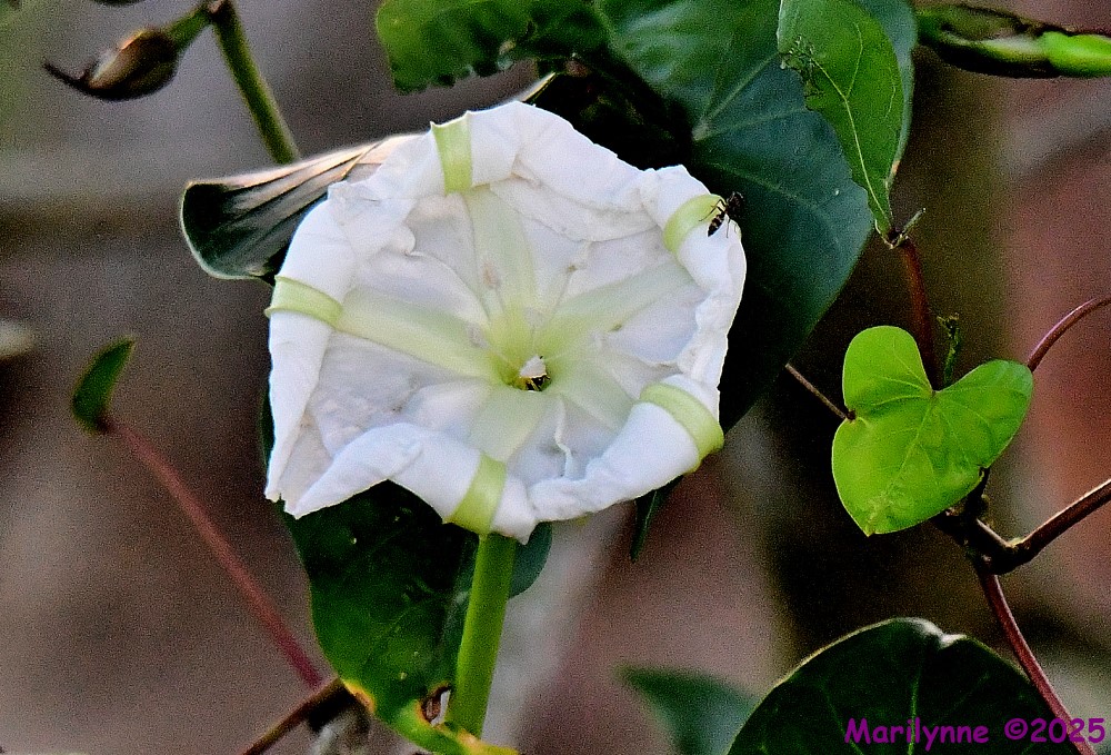 DSC_6760_001.JPG